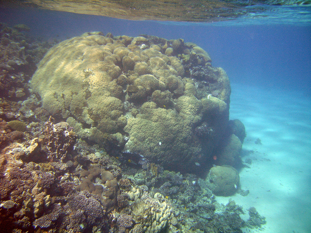Duna Reef景点图片