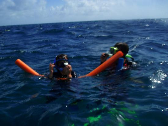 波长礁-道格拉斯港必去景点