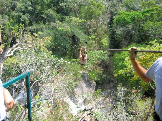 Los Veranos Canopy Tour景点图片