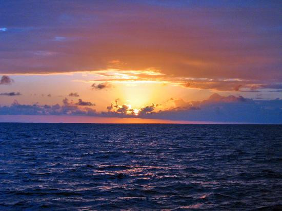 Capt Andy's-埃里埃利必去景点