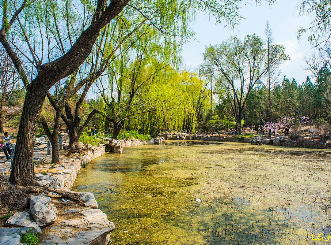 泉城公园-济南市必去景点
