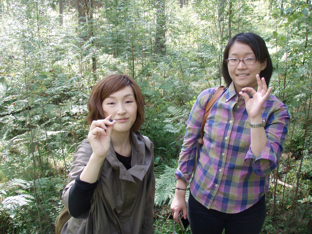 Natura Viva: Nuuksio Forest Lake Trail-赫尔辛基必去景点