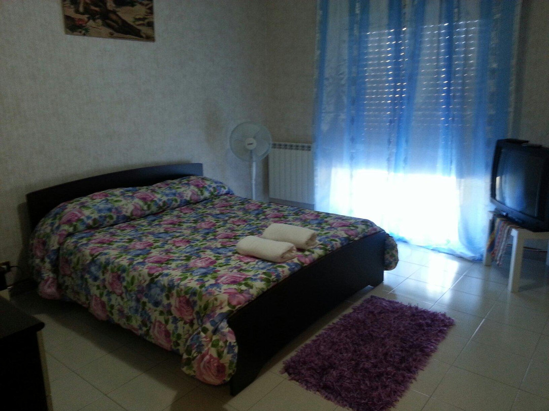 Home Vany