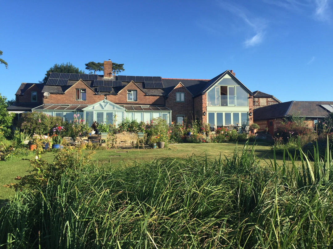 Winterborne Stickland酒店住宿-Tumblins