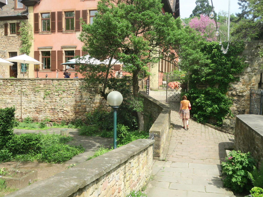 Schloss Deidesheim - Restaurant & Weinstube