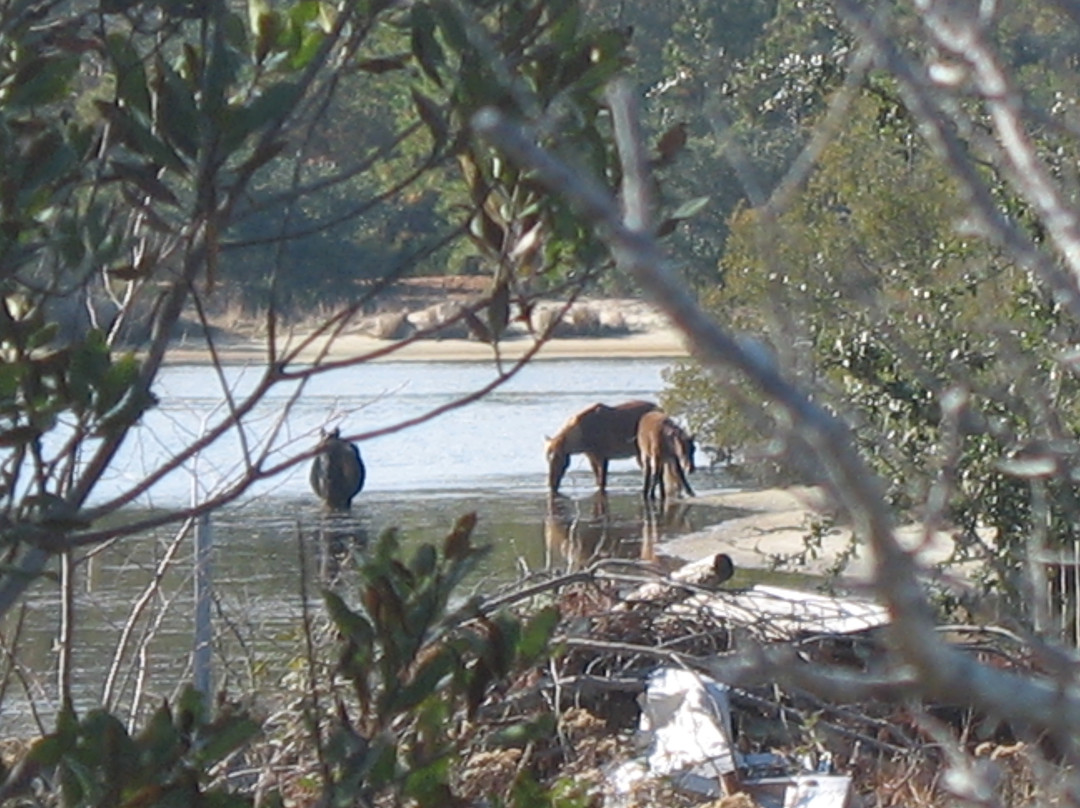 野马冒险之旅-卡罗拉必去景点