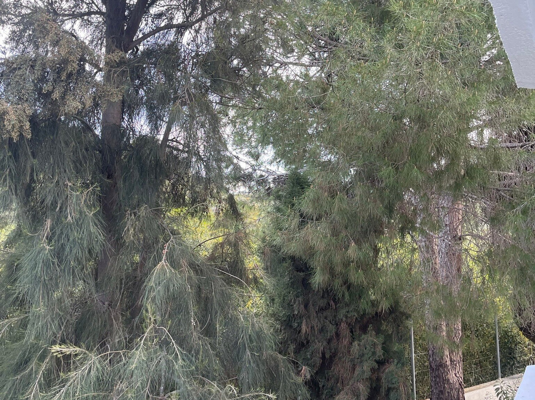 Ladikos Garden主图