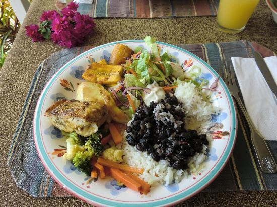 Pura Vida Gardens and Waterfalls-哈科必去景点