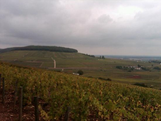Chemins de Bourgogne景点图片