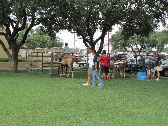 沃斯堡国家历史区-沃思堡必去景点