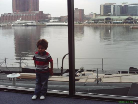 巴尔的摩国家水族馆-巴尔的摩必去景点