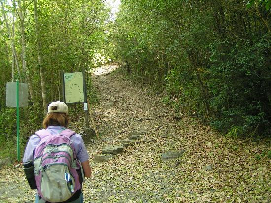 Reef Bay Trail-维尔京群岛国家公园必去景点