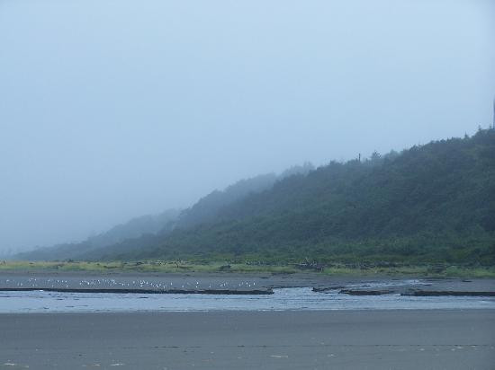 Moclips River景点图片