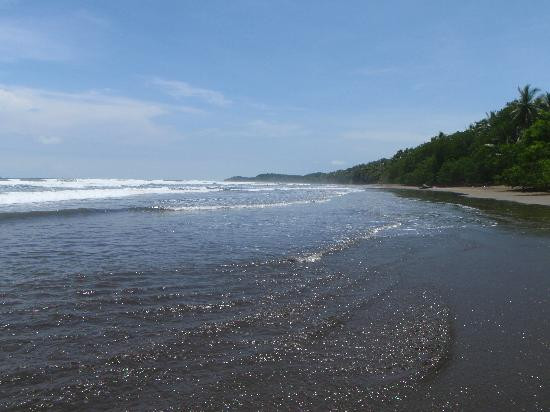 Uvita Surf Lessons-乌维塔必去景点