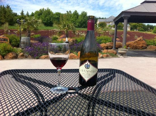 Cubanisimo Vineyards-塞勒姆必去景点