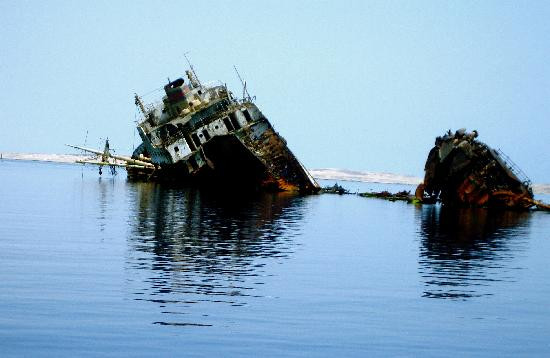 Jackson Reef-红海和西奈半岛必去景点