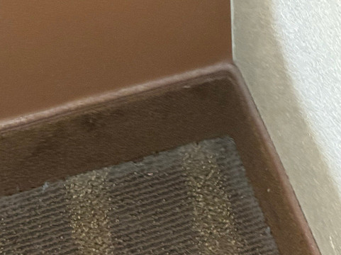 Hampton Inn & Suites Cleburne主图