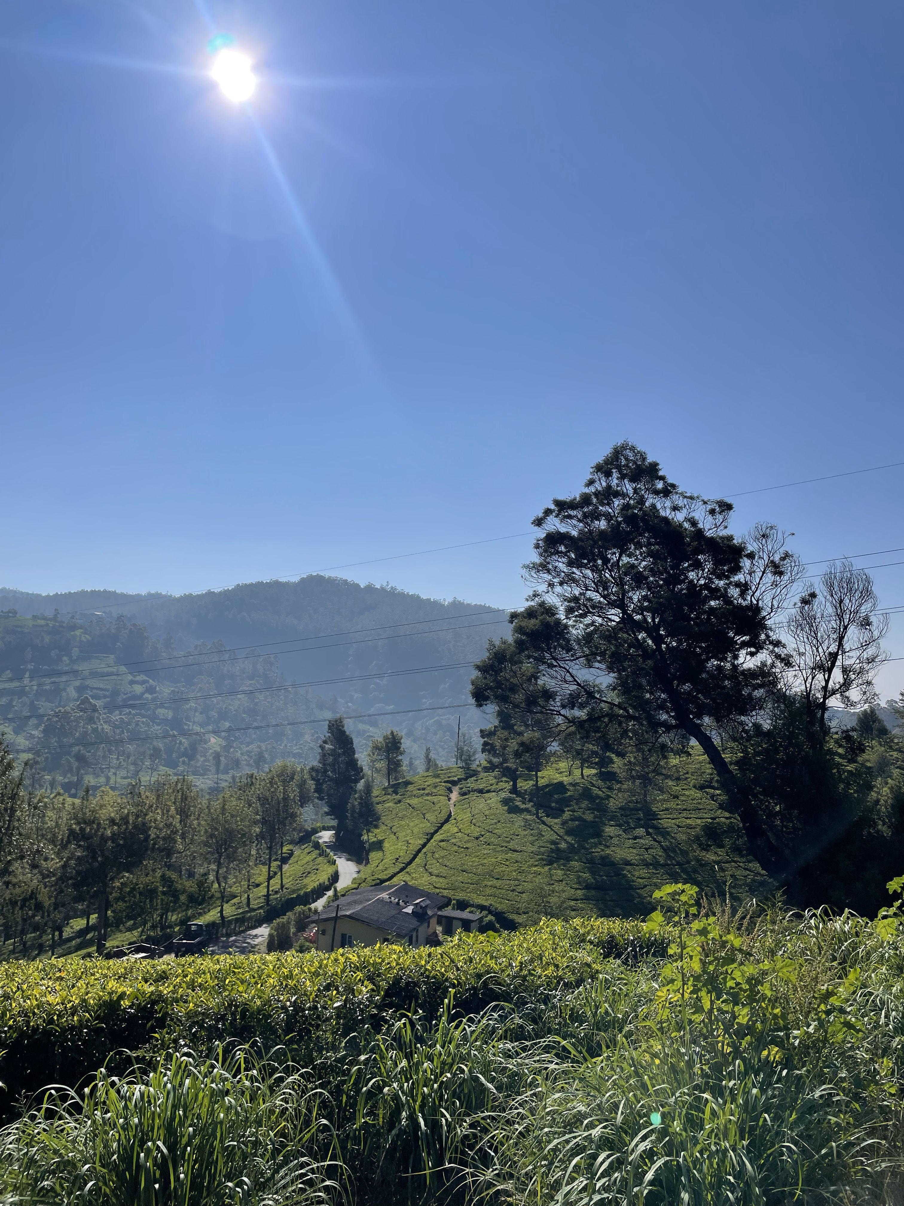 Pedro View Guest House-官方