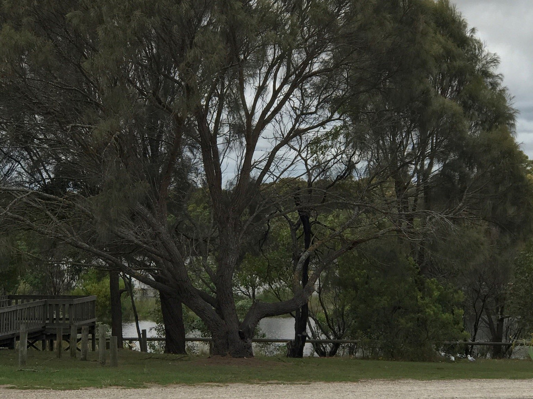 Lake McIntyre-Millicent必去景点