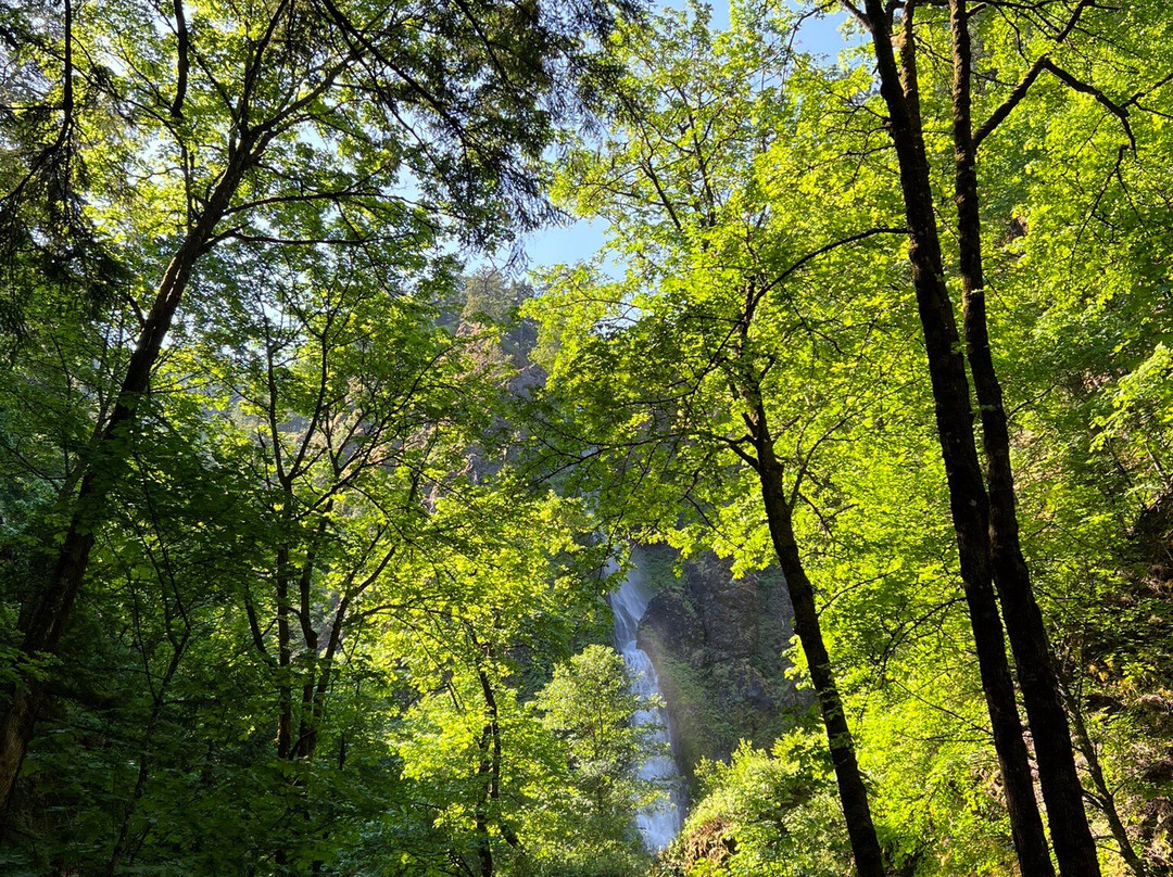 Starvation Creek State Park-Cascade Locks必去景点