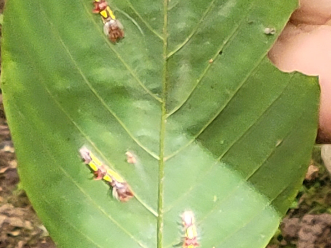 Maripoxa Ecotours-奥克萨潘帕必去景点