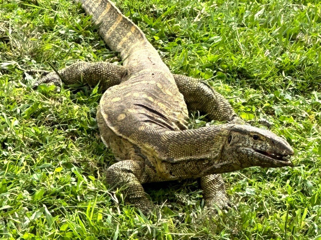 Katotours-Kisoro必去景点