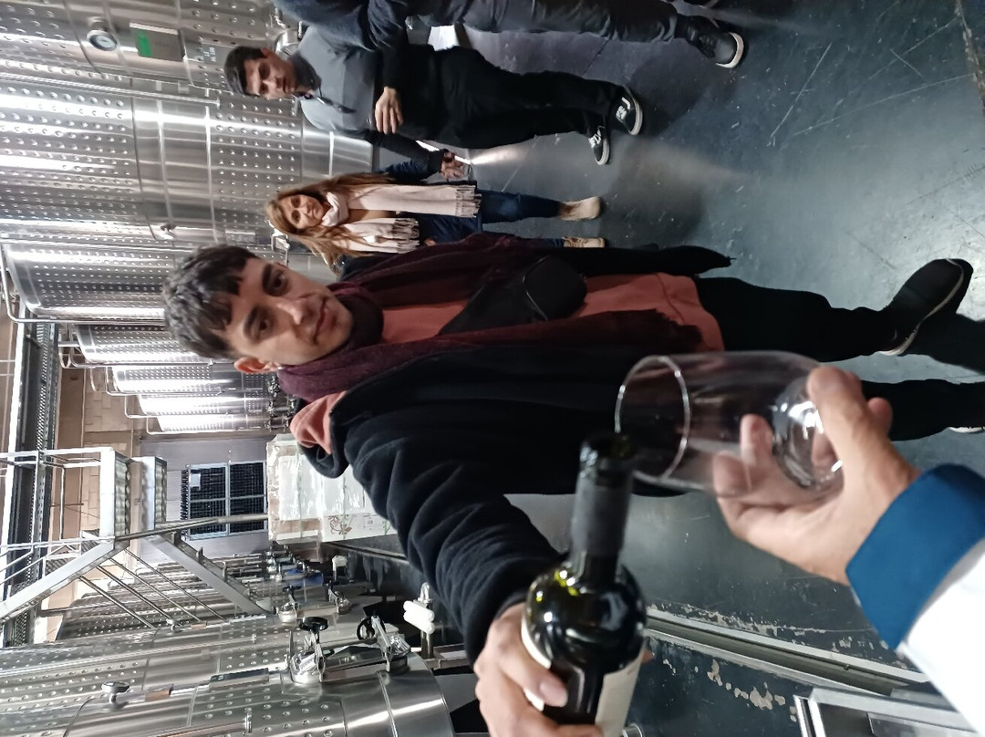 WineBeetle-Coquimbito必去景点