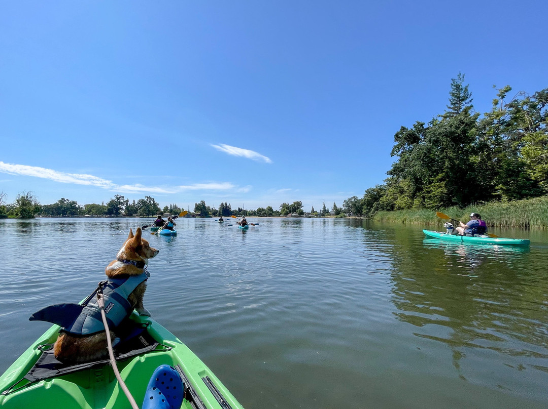 Lodi Boathouse-洛迪必去景点