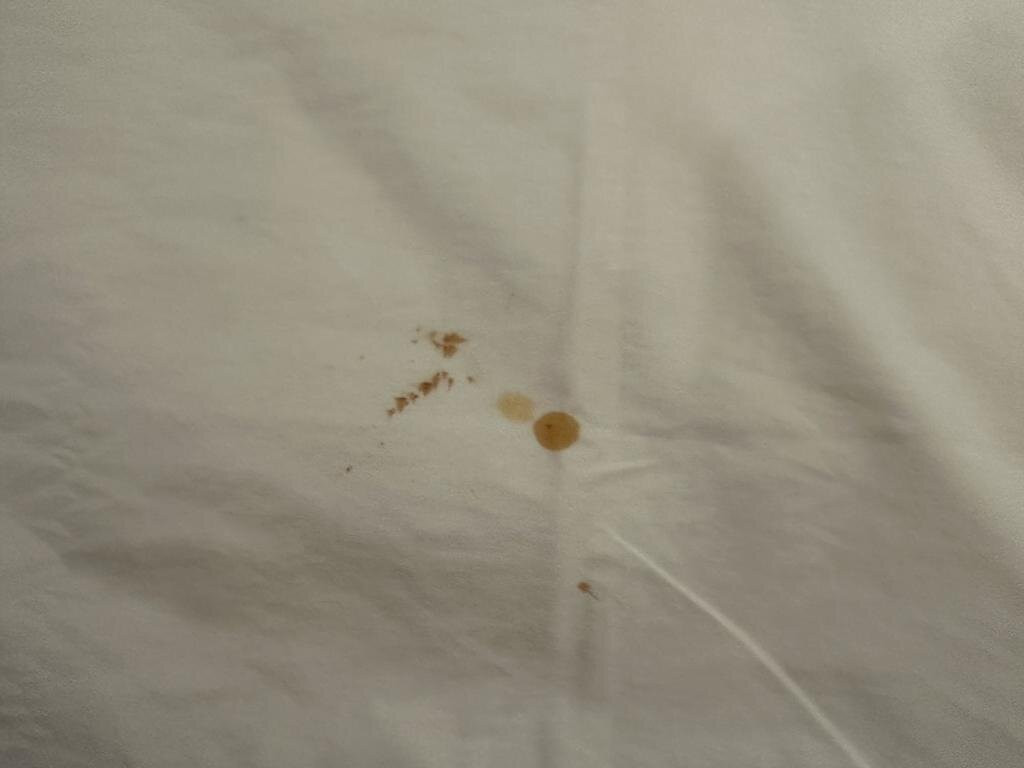 Garden Orchid Hotel主图