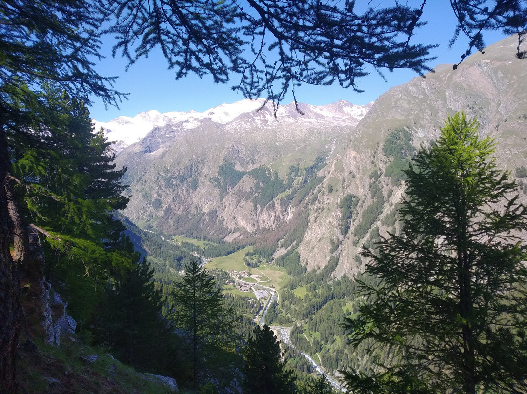 Funivie Gran Paradiso-科涅必去景点