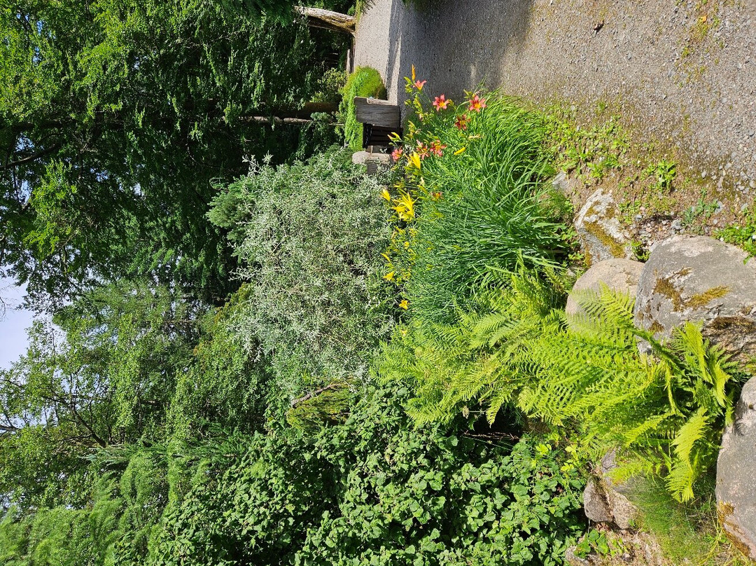 Arboretum Wirty景点图片