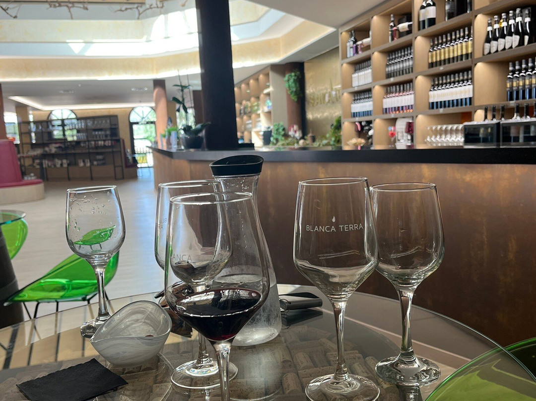 BODEGA BLANCA TERRA景点图片