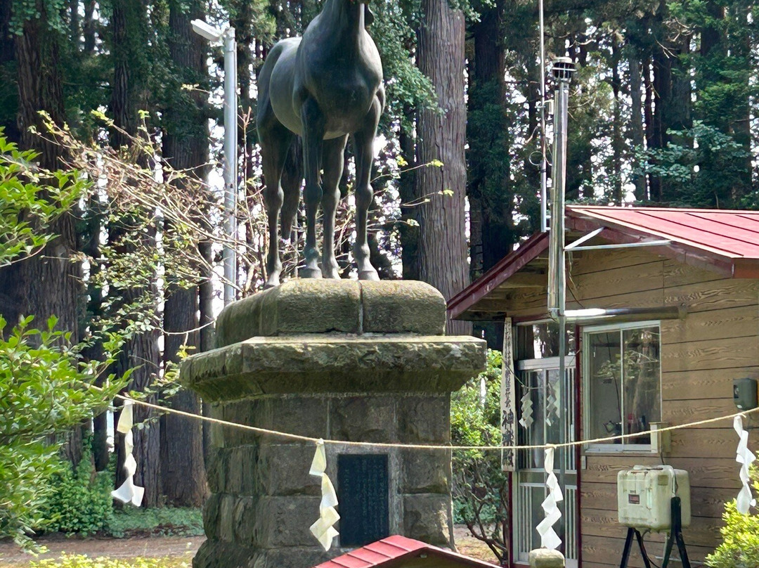 Hanamatsu Shrine景点图片