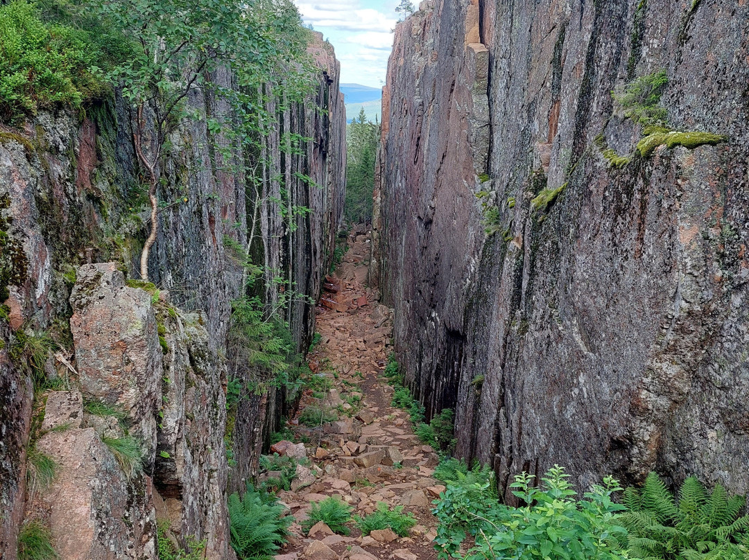 Skuleskogen Nationalpark景点图片