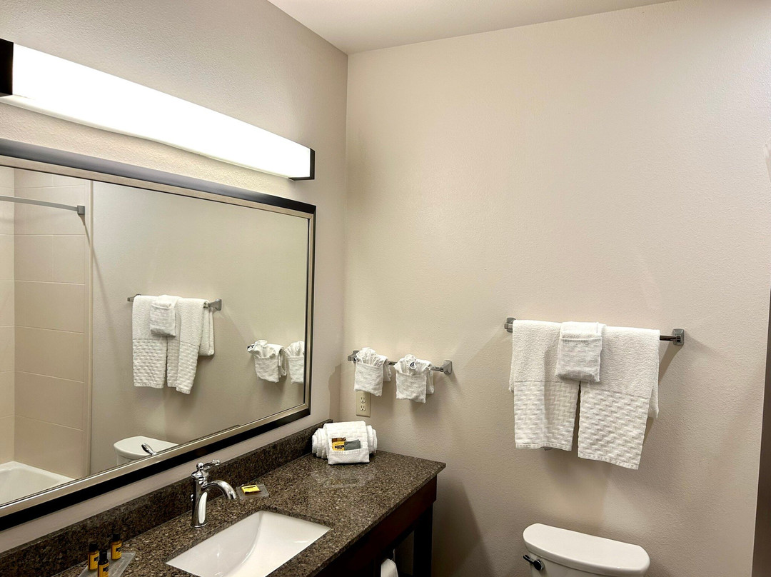 Best Western Plus Lincoln Inn & Suites主图