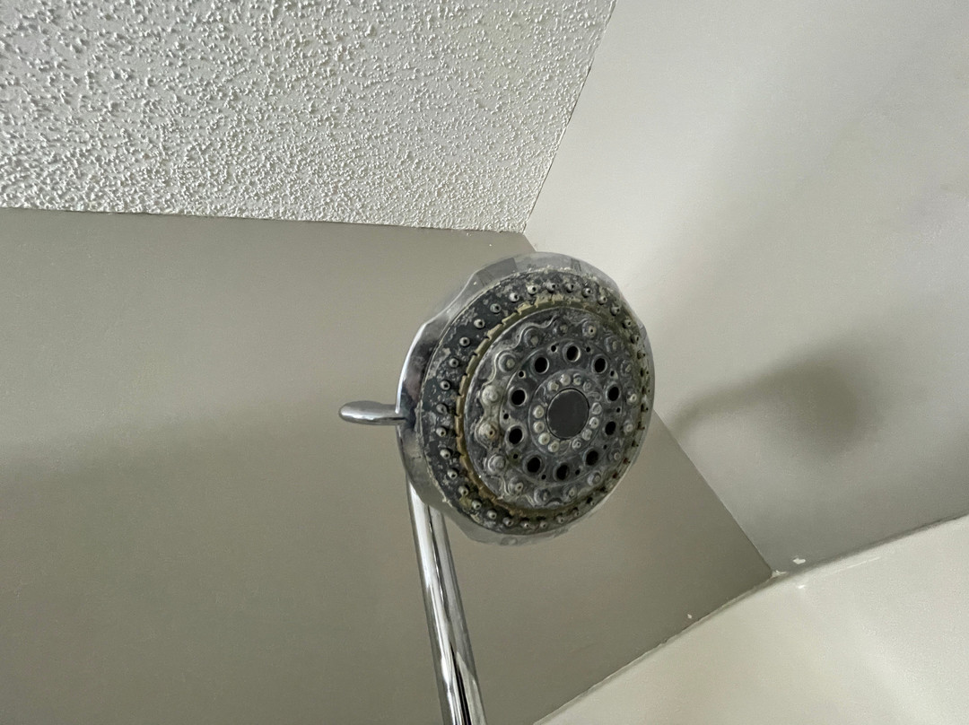 Baymont by Wyndham Baldwin主图