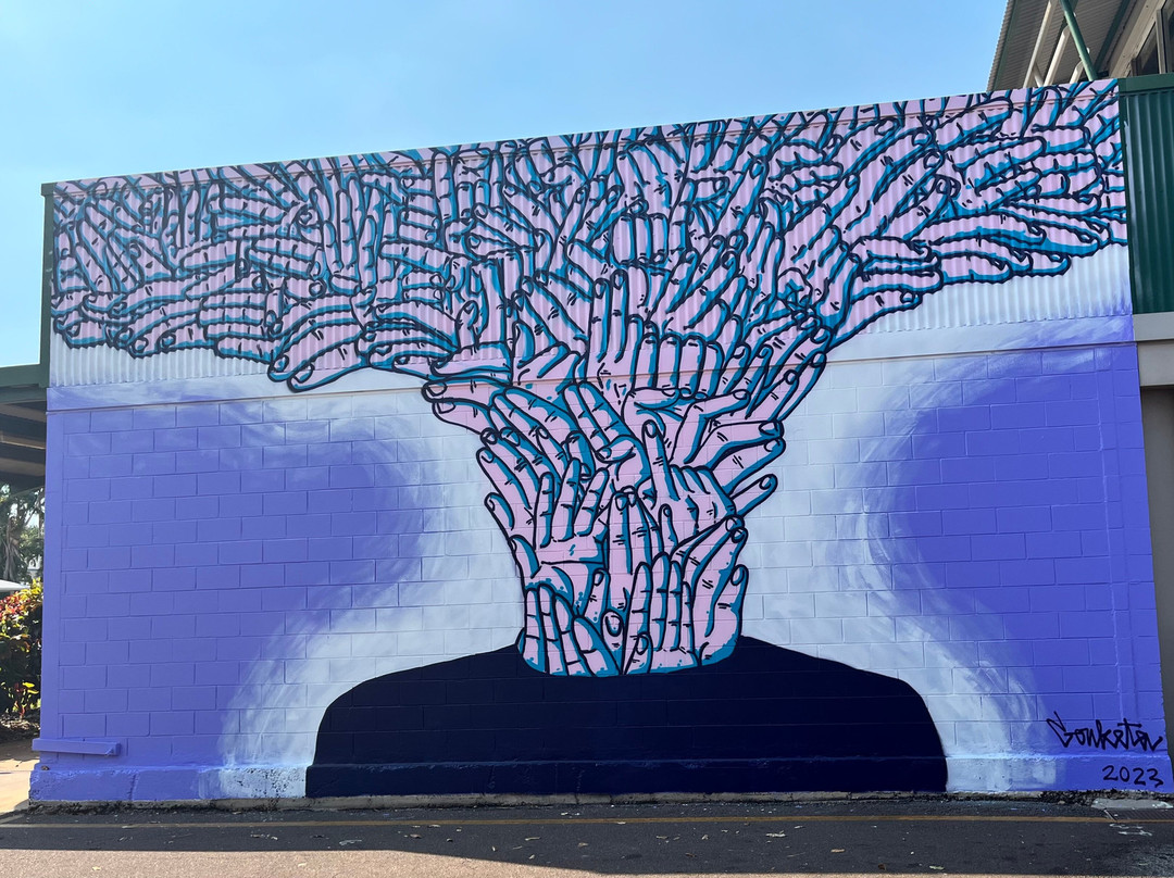 Darwin Street Art Festival-达尔文市必去景点