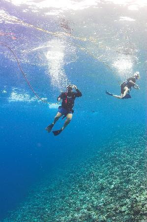 Maui Snorkeling-玛阿拉也亚必去景点