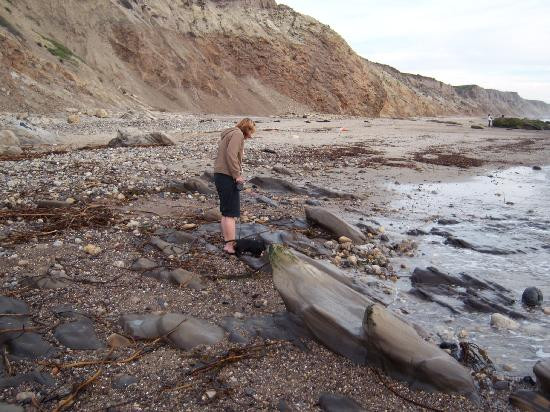 Jalama Beach County Park-隆波克必去景点