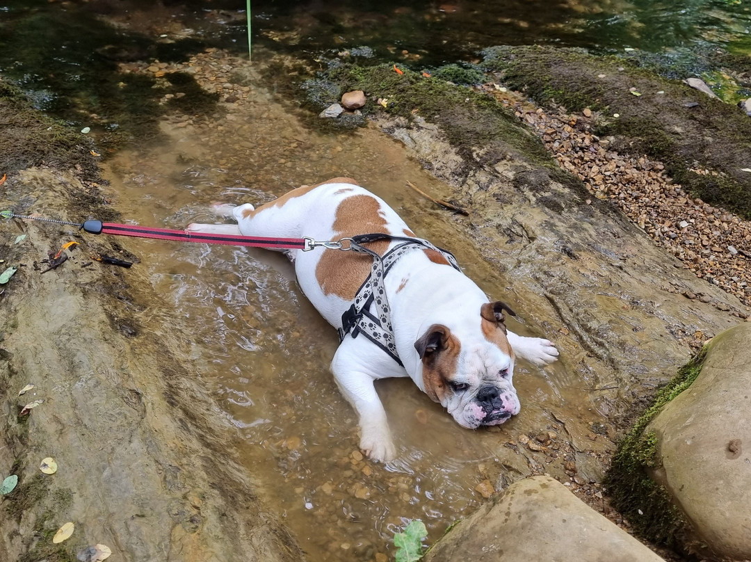 Vía Verde Del Besaya-Cartes必去景点