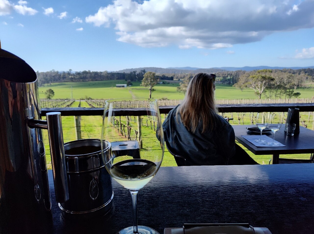 Tamar Valley Wine Tours景点图片