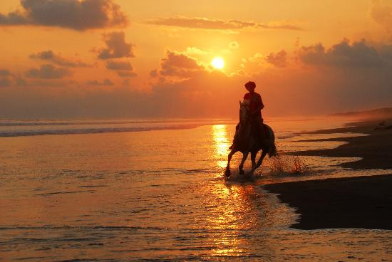 The Riding Adventure景点图片