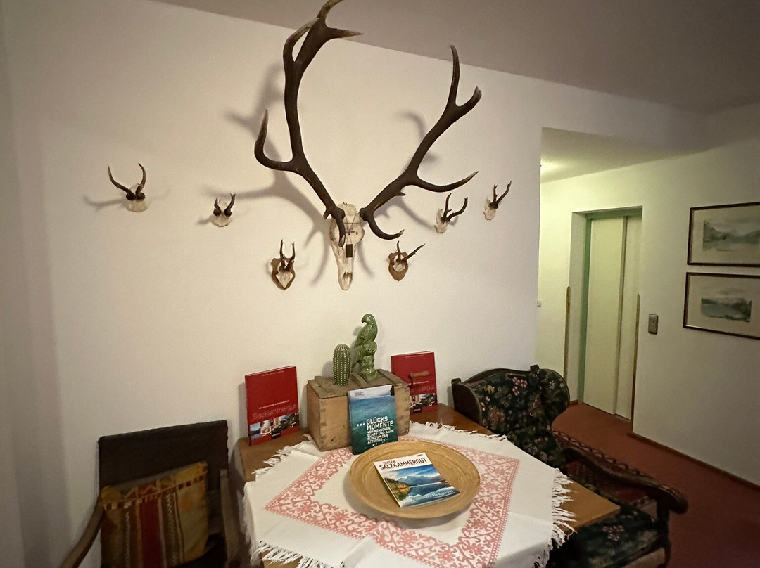 Hotel Aichinger主图