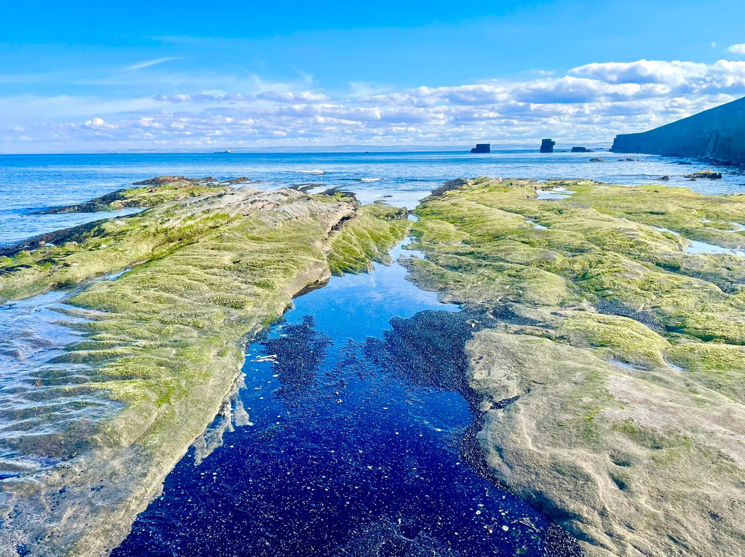 Seafield Beach-Kirkcaldy必去景点