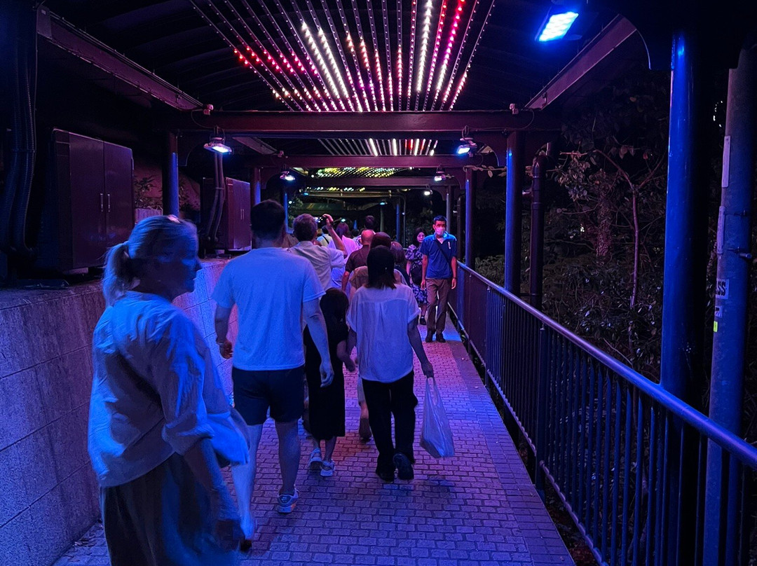 Nagasaki Ropeway-长崎市必去景点