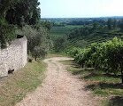 Villa Mocenigo detta"Belvedere"景点图片