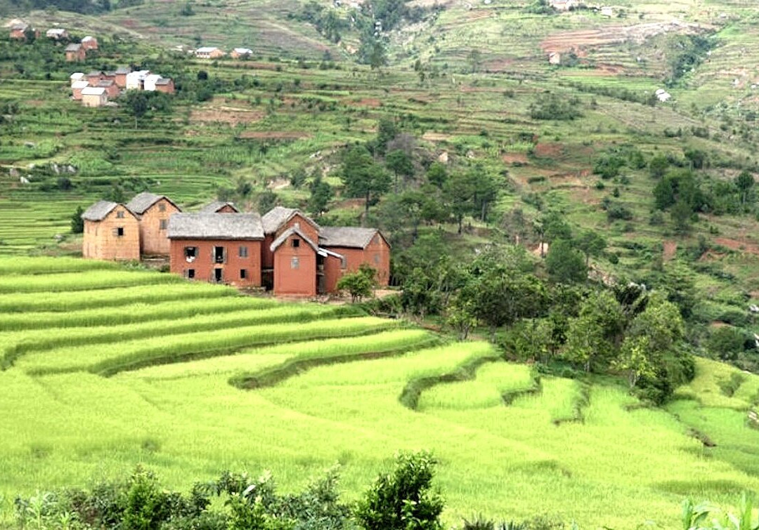 Les Rizières En Terrasses Du Parc National Ambalavao景点图片