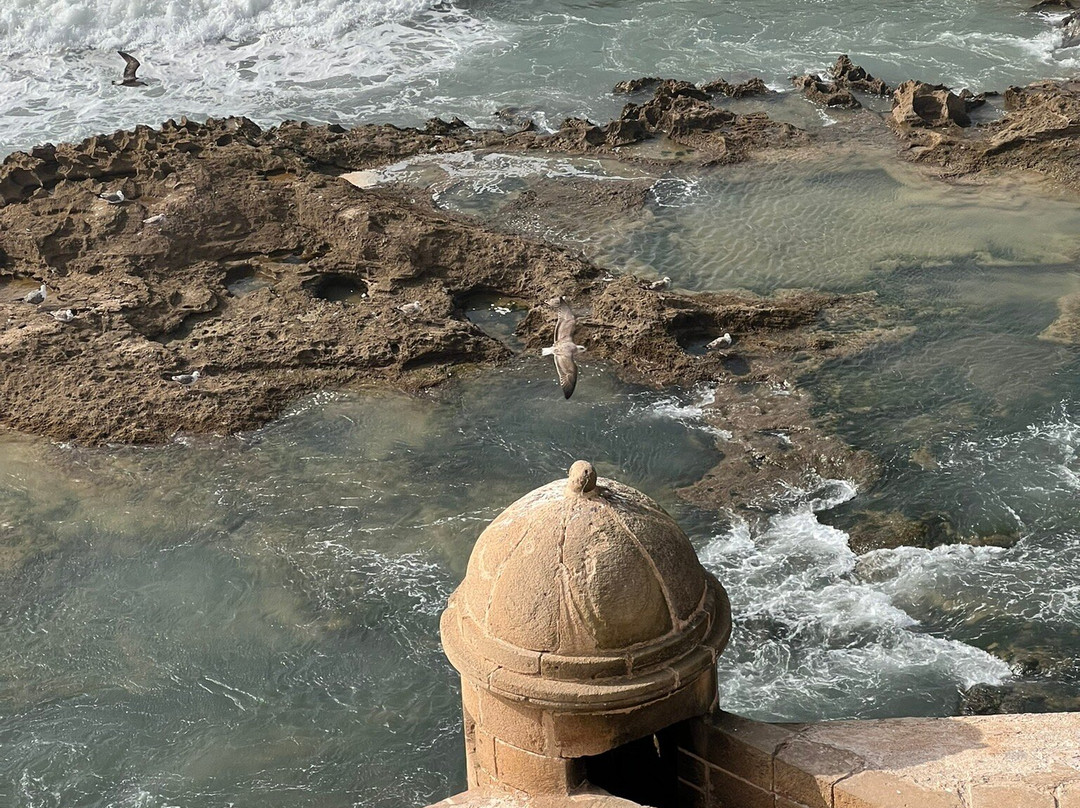 Morocco Tour Experience-马拉喀什必去景点