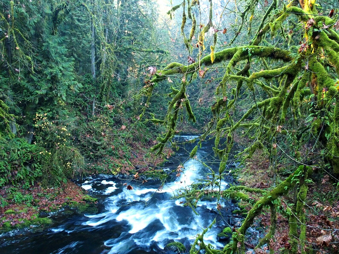 Cedar Creek Grist Mill景点图片