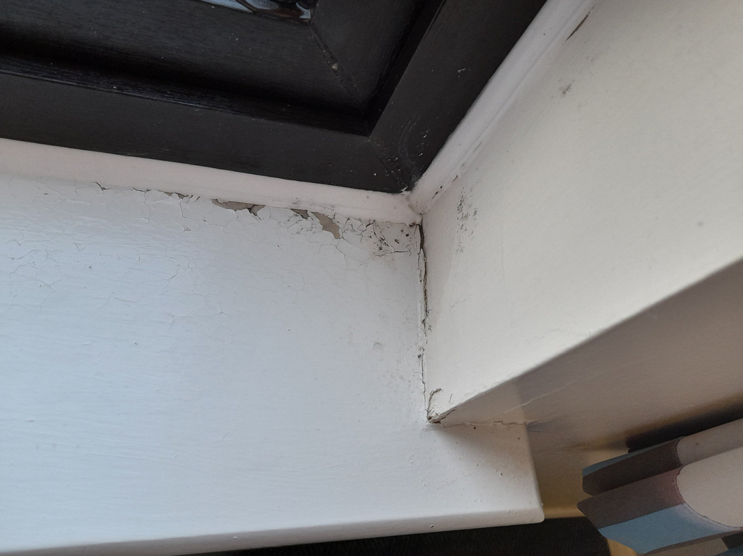 Travelodge Shrewsbury Bayston Hill主图